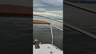 #serfeliz #felicidades #viajar #alegrias