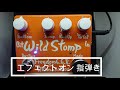 12時FLATの音　FREEDOM CUSTOM GUITAR RESEARCH Wild Stomp