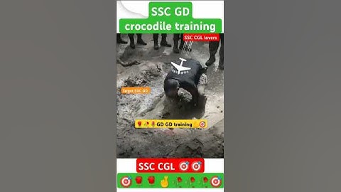 🎯देख लो SSC GD crocodile training #ssc #gd #gd training par #sscgd#upsi #ssccgl #ytshorts #trending
