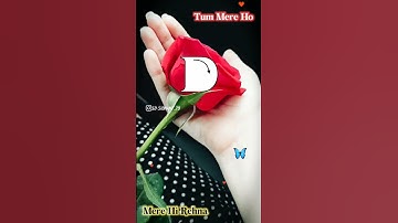 D Letter Name Status ❤️।New Trending Name Art Video ❤️..#shorts#viral#viralshorts#name_status#short