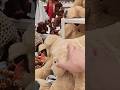 Different between Ikea Small dog &amp; Big dog GOSIG GOLDEN