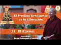 El Precioso Ornamento de la Liberación 11: El karma (por Lama Tsondru)