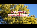 Les endroits les plus romantiques sur lle de noirmoutier 