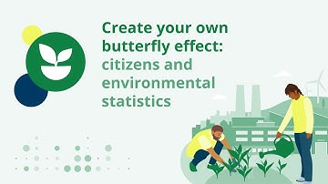 Create your own butterfly effect: citizens and environmental statistics | Webinar