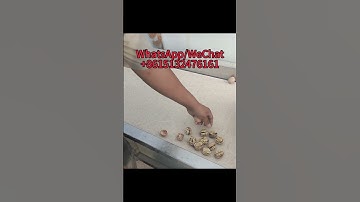 Chinese 2023 New Crop 185 Walnut has paper skin and big size. Kernel rates over 60%