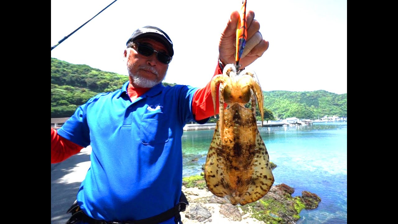 イカの釣り方特集 種類別に時期やコツなど 初心者向けまとめ 暮らし の イカの釣り方特集 種類別に時期やコツなど 初心者向けまとめ 暮らし の