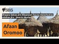 Dhaqna Qabaa Ykn Kitaanuun Fayyaa Dubartootaa Miidhaa Jira Seerris Dhorke SBS Afaan Oromoo
