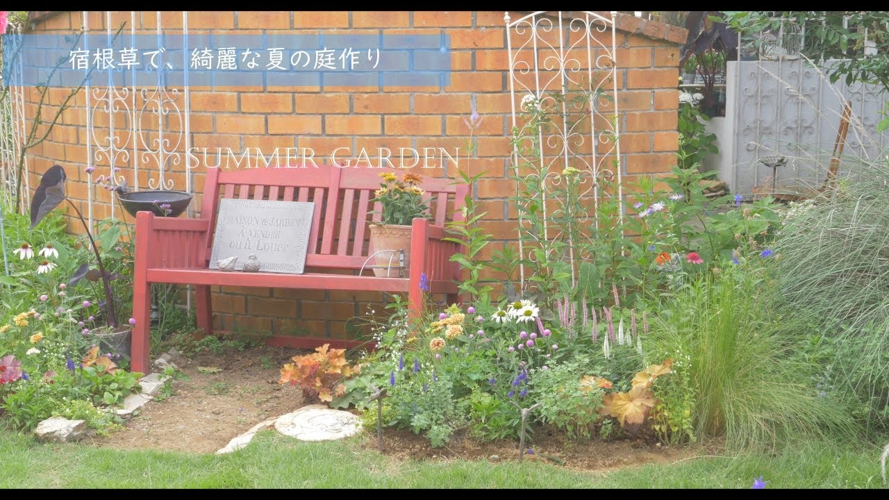 From early summer to summer garden | How to create a beautiful