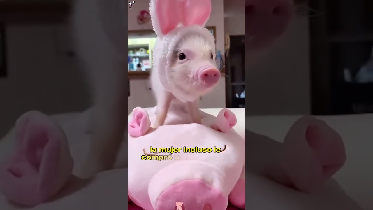 Oh my god, it's so pitiful