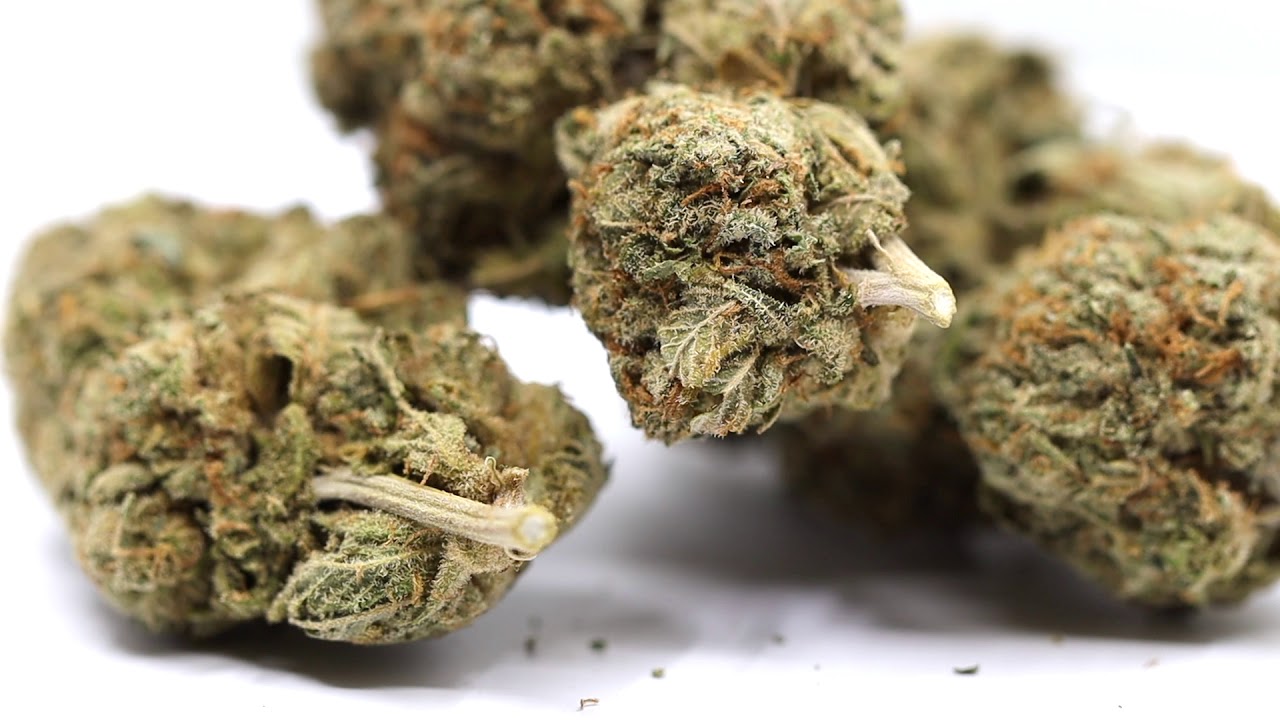 Violator Kush - Naked Cannabis