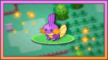 [LIVE] Shiny Mudkip after 3408 SRs in Ruby + 1 Shiny Pooch