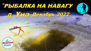 ✅ НАВАГА В УНСКОЙ ГУБЕ 🎣🐟🐟🐟Декабрь 2022 #Рыболов_Севера
