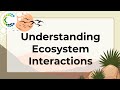 Ecosystem Interactions: Competition, Predation, and Mutualism Explained