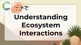 Understanding ecosystem interactions