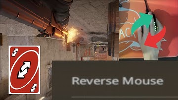Counter Strike but my mouse is inverted