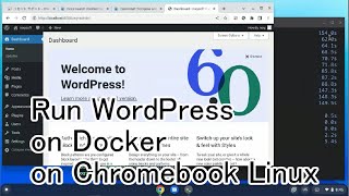 Run WordPress on Docker on Chromebook Linux