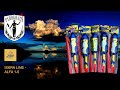 Video: ZESTAW OGROMNYCH RAKIET ALFA IR-CB75-M1 3" - 5 sztuk