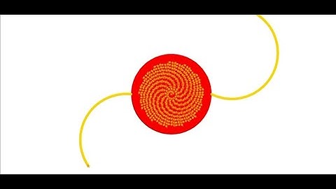 rakhi from Turtle python new 2021 apni programming