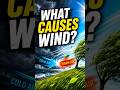 What Causes Wind? 🌬️ #Shorts