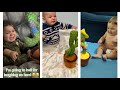 funny baby&#39;s reactions to the cactus toy 🤣