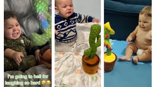 funny baby&#39;s reactions to the cactus toy 🤣