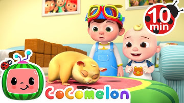 Jellybean Hampster Song | | Play Time with Cody and JJ! | CoComelon Songs for Kids & Nursery Rhymes
