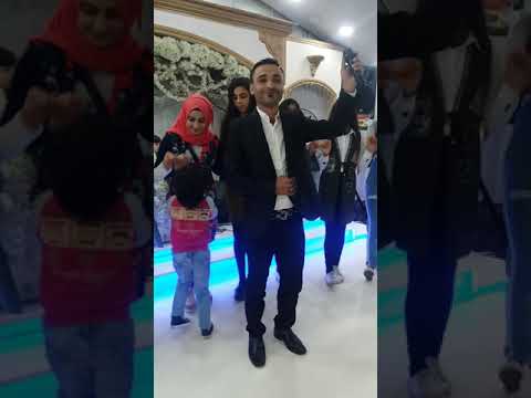 عادل موسى شيخاني 