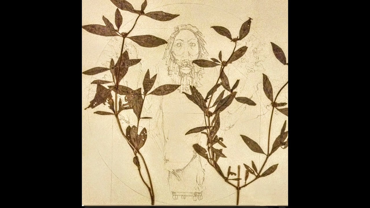 josh augustin - unnamed shopping muzak