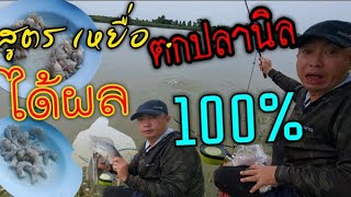 สูตรเหยื่อตกปลานิลได้ผล100% #ไฮเกรดชนบท