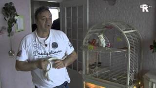 Vrouw Treft Slang In Huis