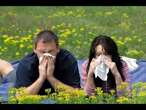 Профилактика аллергозов