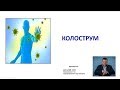 КОЛОСТРУМ! Защита иммунитета. Прус Виталий специалист.