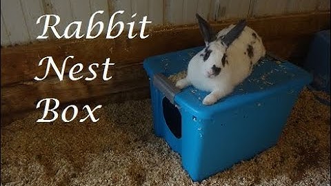 My Favorite DIY Rabbit Nest Box