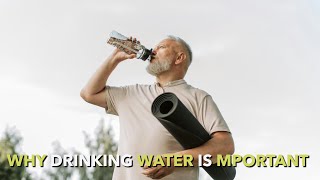 Why Drinking Water Daily Is a Game-Changer for Your Health