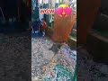 Awsome! #satisfying #fishing #fishingnet #oceanlife #palawan #shorts