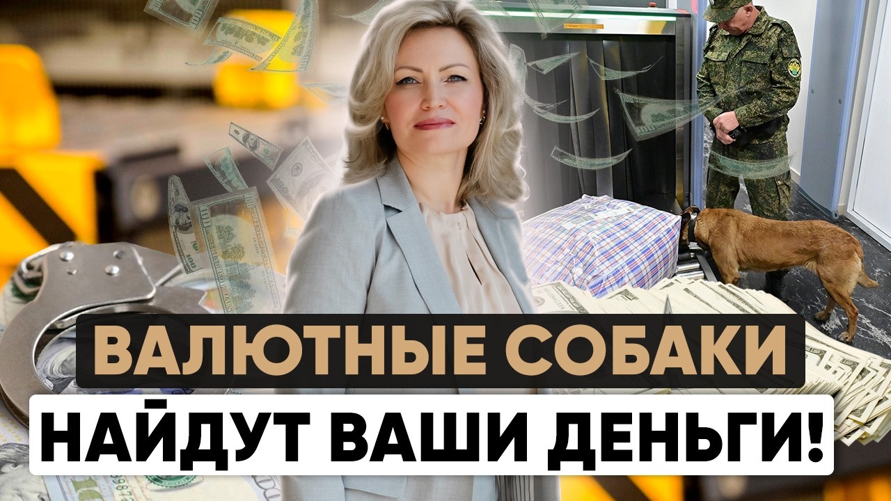 Декларация на таможне денег и драгоценностей | Собаки, сканеры и обыски на границе