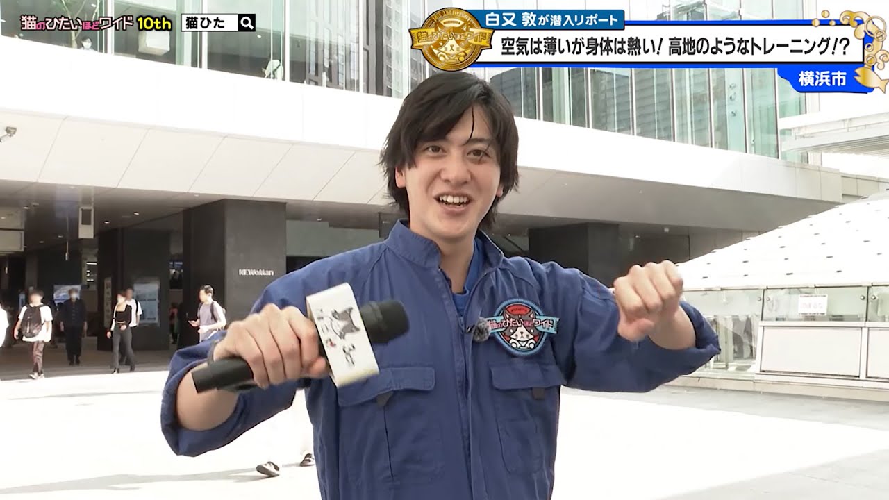 猫のひたいほどワイド オンラインくじ 白又敦　3点　セット 猫のひたいほどワイド #1643 リポート大賞・白又敦「空気は薄いが身体