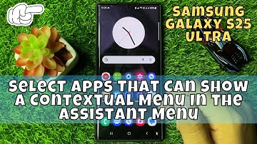 How to Select Apps That Can Show a Contextual Menu In the Assistant Menu Samsung Galaxy S25 Ultra