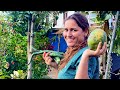 Organic vegetables at home  my regular work in rural village rukum  karnali nepal