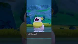 Shiny Yamper! PokƩmon Sword & Shield! Shiny Yamper! PokƩmon Sword & Shield!
