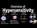 Hypersensitivity, Overview of the 4 Types, Animation.