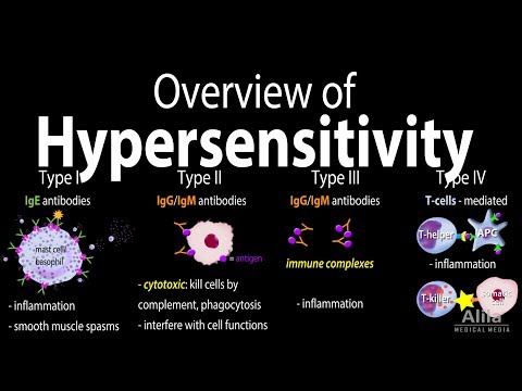 Hypersensitivity, Overview of the 4 Types, Animation.