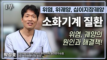 [위장질환] 위염, 위궤양, 십이지장궤양의 발병 원인과 치료법 · 위장에 좋은 음식 · 위궤양이란