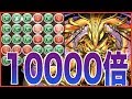 【ソロ】アメン10000倍砲をヘキサゼオンに叩き込んできた!!【パズドラ】