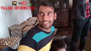 Full Information How To Start Desi Den Misri Hen Farmingden Misri Poultry Vaccination Tips