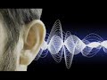 Tinnitus Cure In 30 Minutes Most Powerful Tinnitus Binaural Beats Music Sound Healing Therapy 
