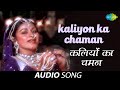 Kaliyon Ka Chaman | Jyoti | Lata Mangeshkar | Bappi Lahiri | Aruna Irani | कलियों का चमन