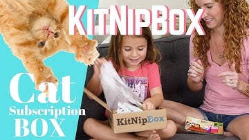 KitNipBox Cat Subscription Box for Cats and Kittens