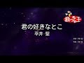 【カラオケ】君の好きなとこ / 平井堅