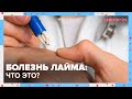 БОЛЕЗНЬ ЛАЙМА: что это? | Доктор 24